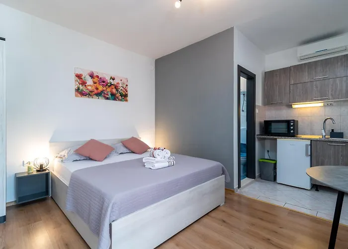 Apartment Coce *